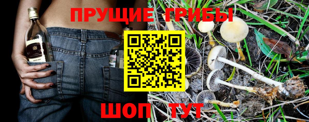 Псилоцибиновые грибы MAGIC MUSHROOMS Великий Новгород