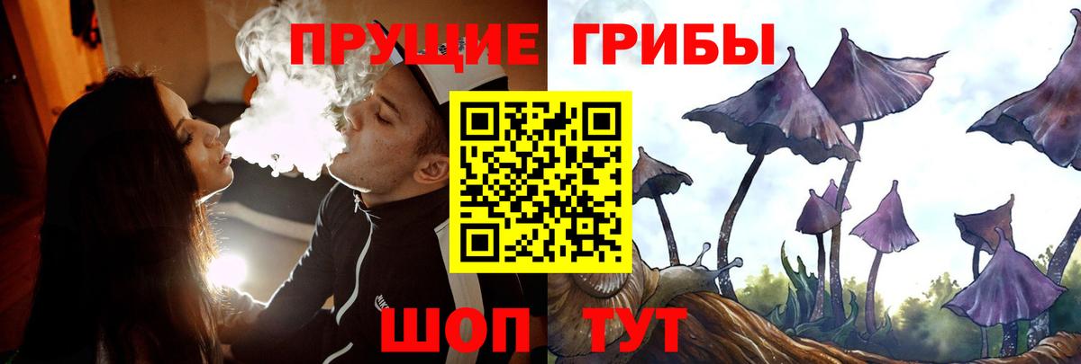 где продают   Вход с VPN  Великий Новгород  Галлюциногенные грибы GOLDEN TEACHER 